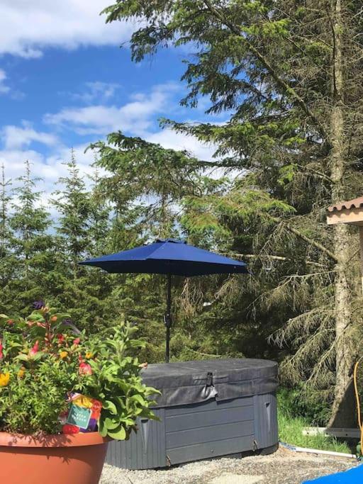 Gamrie Bankhead Accommodation With Hot Tub Aberdeenshire מראה חיצוני תמונה